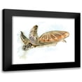 thumbnail image 1 of Shefranov, Olga 24x20 Black Modern Framed Museum Art Print Titled - Turtle, 1 of 5