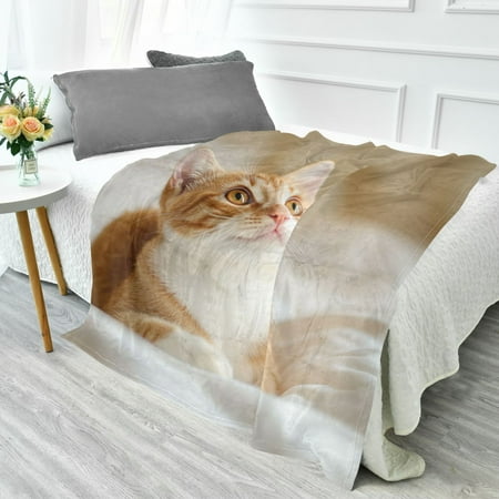 70×55 Inches Glow in The Dark Blanket Cozy Throw Camping Blankets for Home and Outdoor Use Orange and White Cat