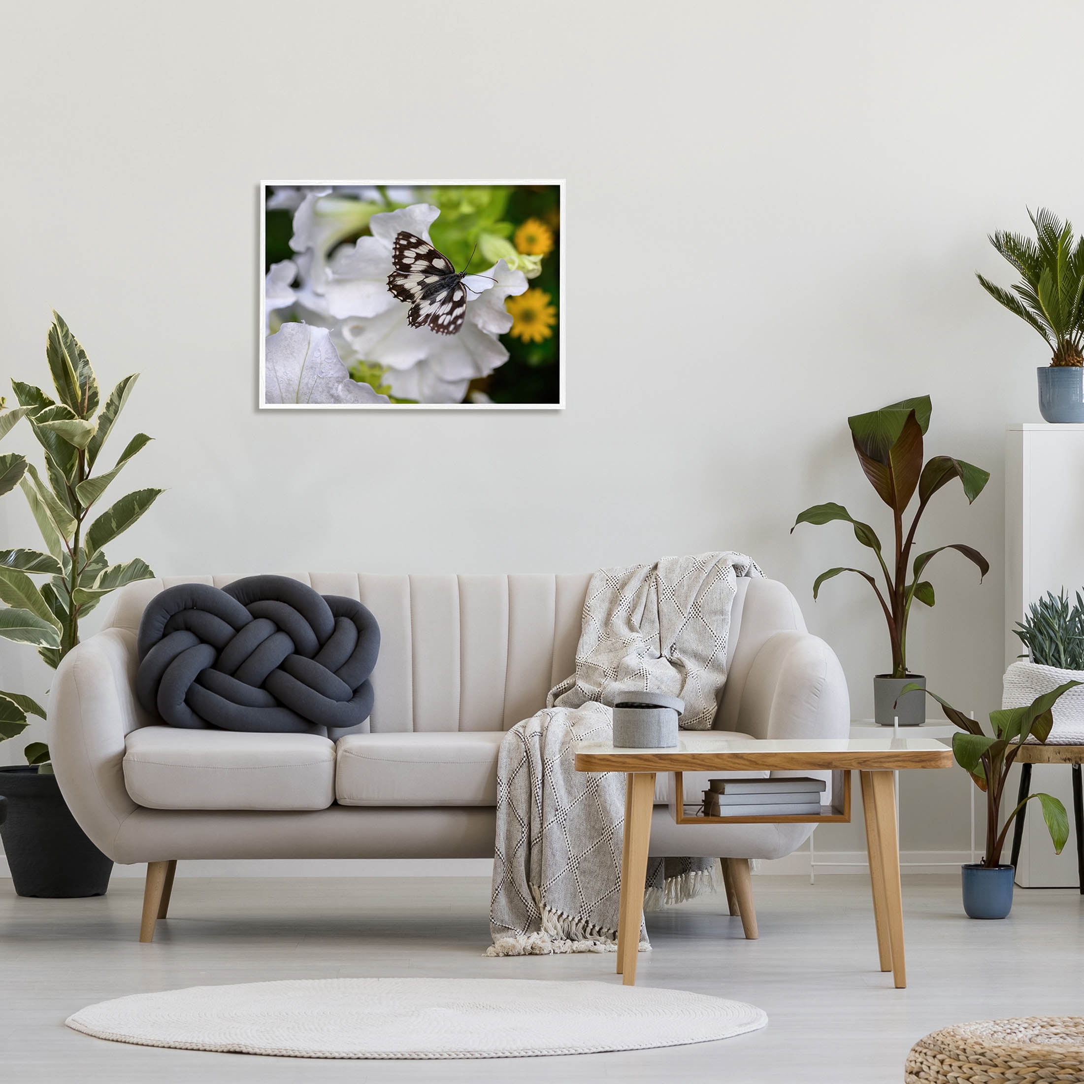 Stupell Industries Butterfly Geranium Blossom Photograph White Framed Art Print Wall Art, Design by Daphne Polselli