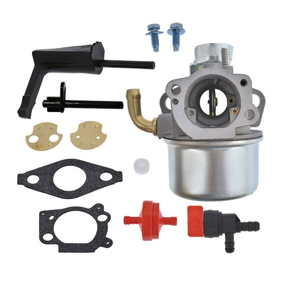 New Carburetor For Briggs &Stratton 798653 697354 790290 791077 698860 FAST SHIP