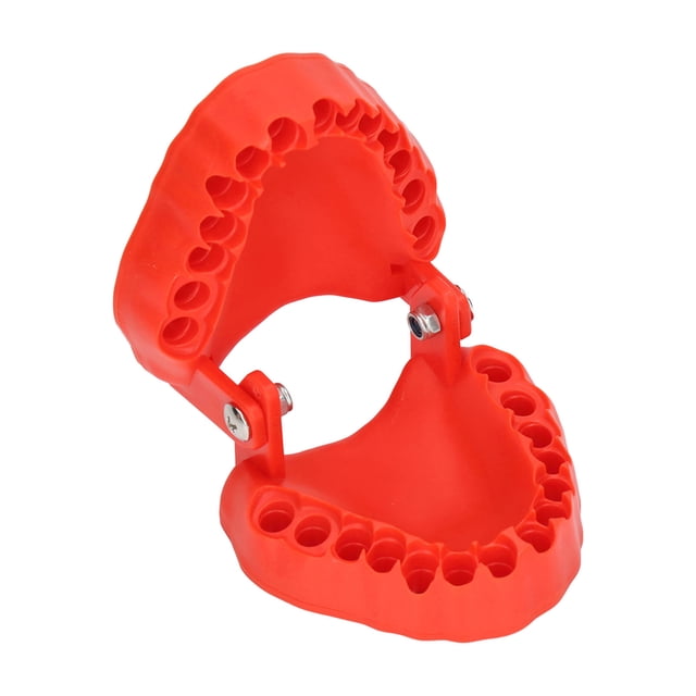 Organisateur de Dentier, Design Spécial de Dentition 28 Trous de Perçage Support de Dentier Utilisation Polyvalente Résistant aux Chocs pour Kit DIY Rouge