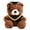 C, variant on Lovely 23cm Plush Graduate Doctor Bear for Display on Desks or Bedrooms Adding Warmth Graduation Bear Gift