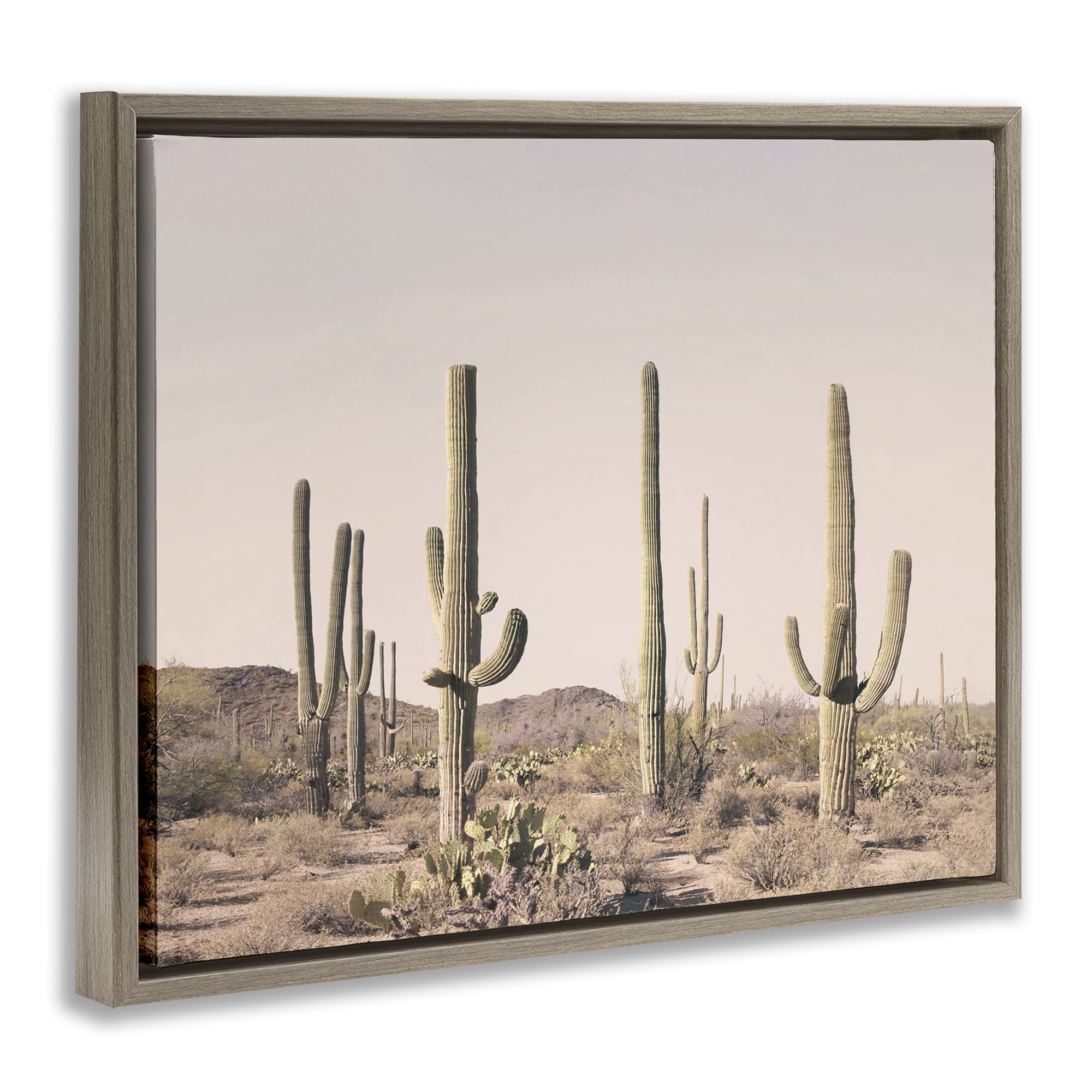 Stupell Industries Blush Cactus Field Landscape & Nature Photography Brown Floater Framed Canvas Art Print Wall Art, 31 x 25