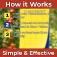 thumbnail image 7 of Tanglefoot Sticky Tangle-Trap Cards 20 Pack - 4"x6" – Double-Sided Yellow & Blue Hanging Traps for Garden, Plants & Greenhouse Use, 7 of 7