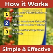 Tanglefoot Sticky Tangle-Trap Cards 20 Pack - 4x6 – Double-Sided Yellow & Blue Hanging Traps for Garden, Plants & Greenhouse Use