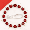 thumbnail image 7 of Mrs. Anderson’s Baking Cherry Pitter, Chrome-Plated Zinc Alloy, 7 of 7