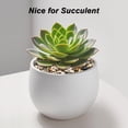 thumbnail image 4 of River Rocks, Decorative Ornamental Pebbles,Garden Landscaping Stones,Gravel Filler for Home Decoration Flower Bed Fish Tank Plants Vases Succulents, 4 of 8