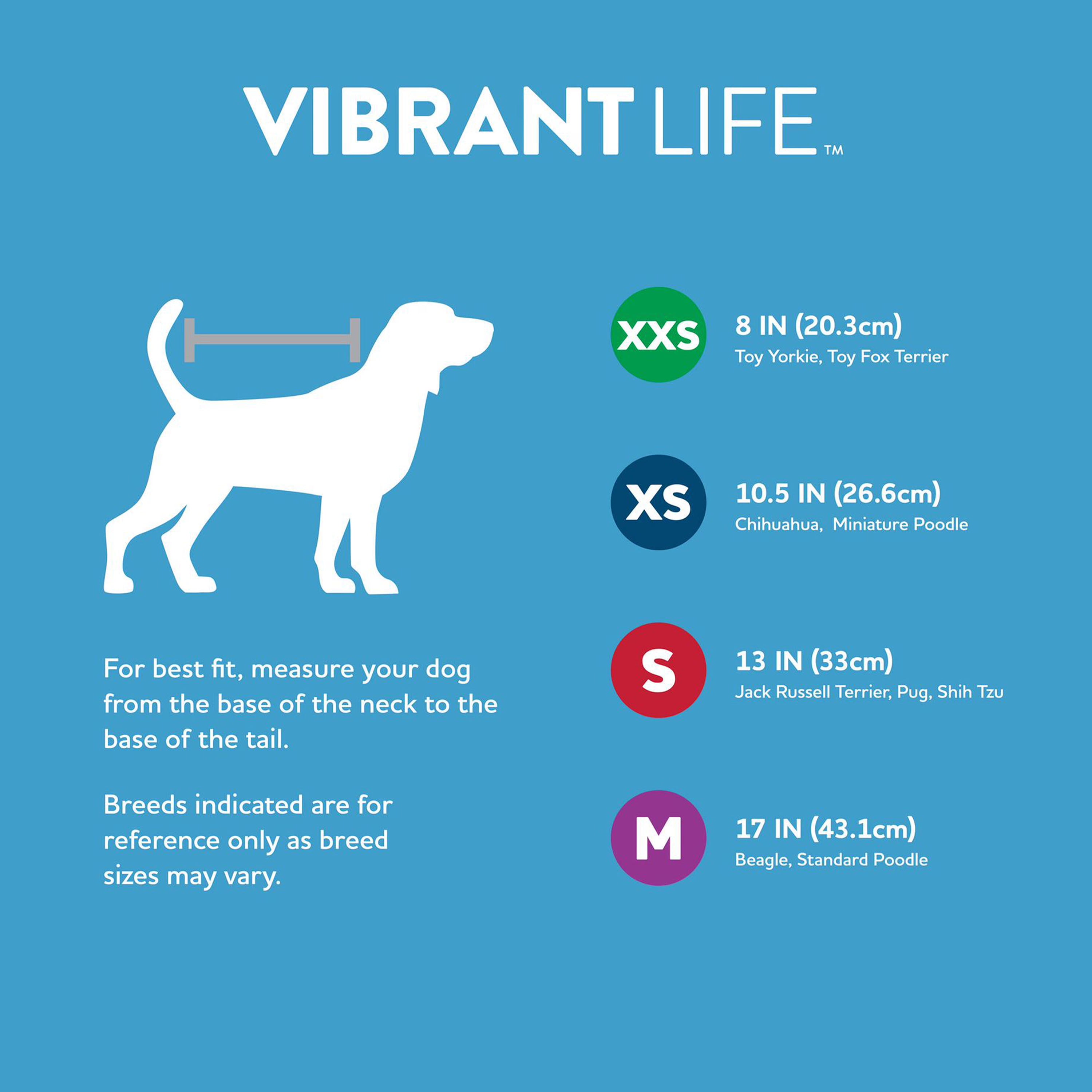 Vibrant Life Mommy's Favorite Pup Dog T-Shirt, Blue, Small