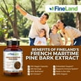 thumbnail image 4 of Fineland Vitamins French Maritime Pine Bark Extract Antioxidant Capsules 200 Count, 4 of 8