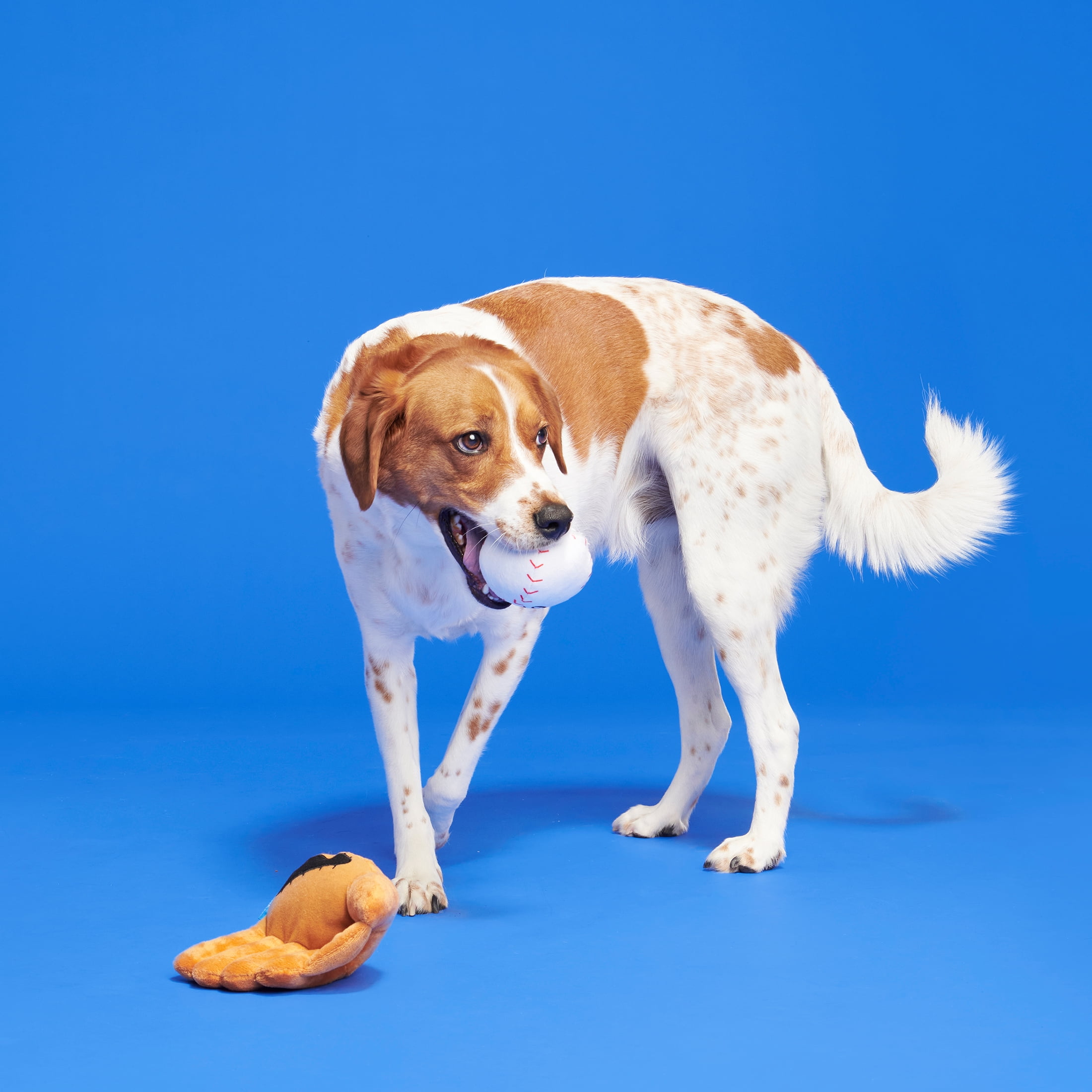 BARK Growlings Baseball Glove & Ball - Yankee Doodle Multi-Part Dog Toy