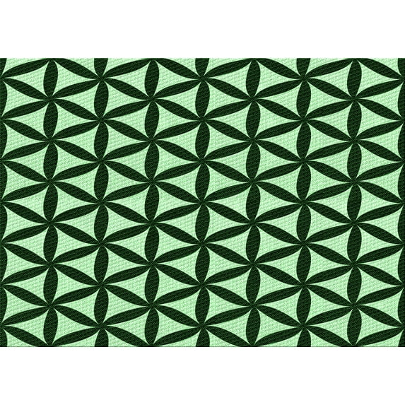 Ahgly Company Machine Washable Indoor Rectangle Transitional Pastel Green Area Rugs, 6' x 9'