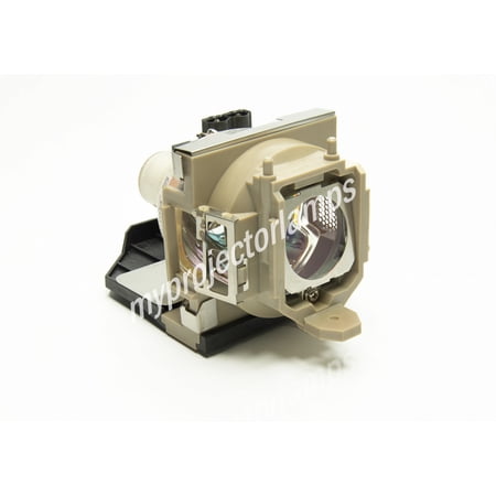 Benq PB8240 Projector Lamp with Module