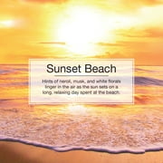 Little Trees Air Freshener Sunset Beach Fragrance 3-Pack