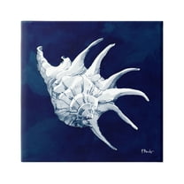 Stupell Industries Cyanotype Shells Traditional Conch Graphic Art Gallery Wrapped Canvas Print Wall Art, Design by Paul Brent