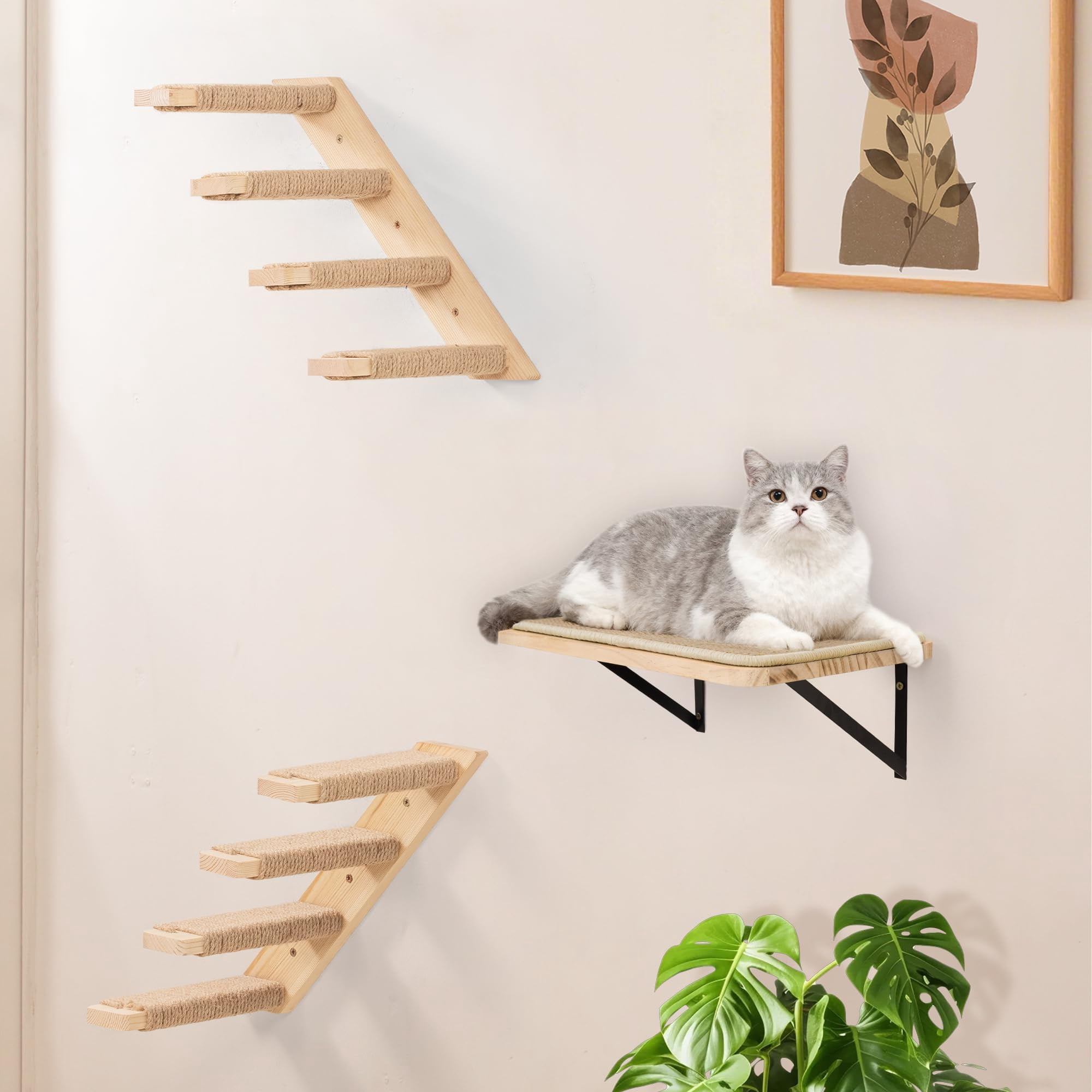 Wood Shelf Single Shelf (1 Piece) Cat Perch Wall Mounted Bed for Sleeping Playing Climbing