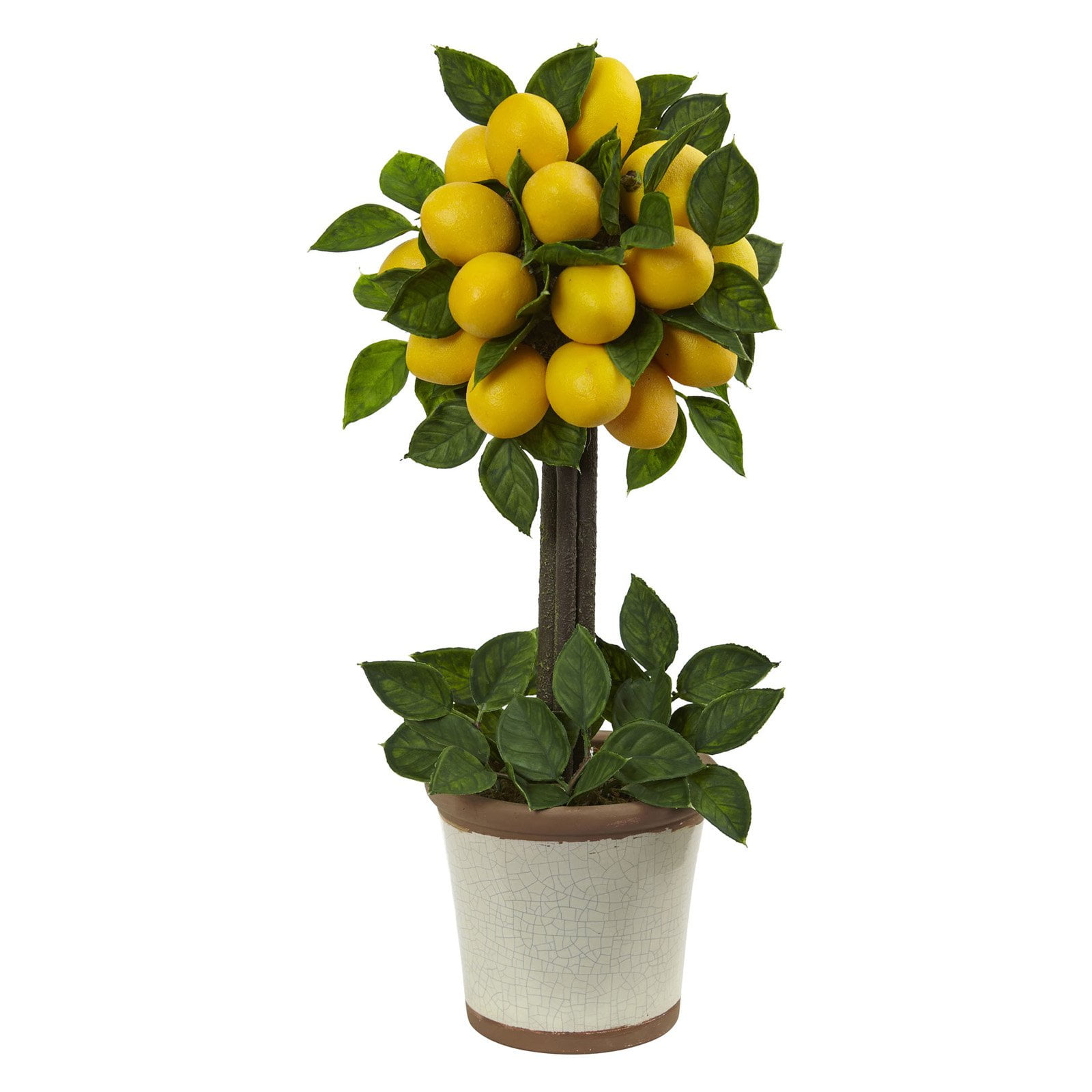 Lemon Ball Topiary Arrangement - Yellow