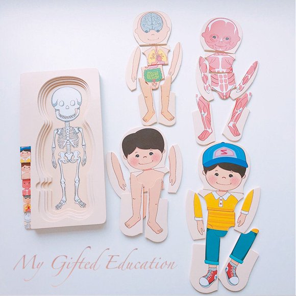 5 Layer Boy/Girl Human Body Parts Wood Puzzles - Anatomy Wooden Puzzles - Montessori Waldorf Learning STEM Toy Preschool - Kids Gift