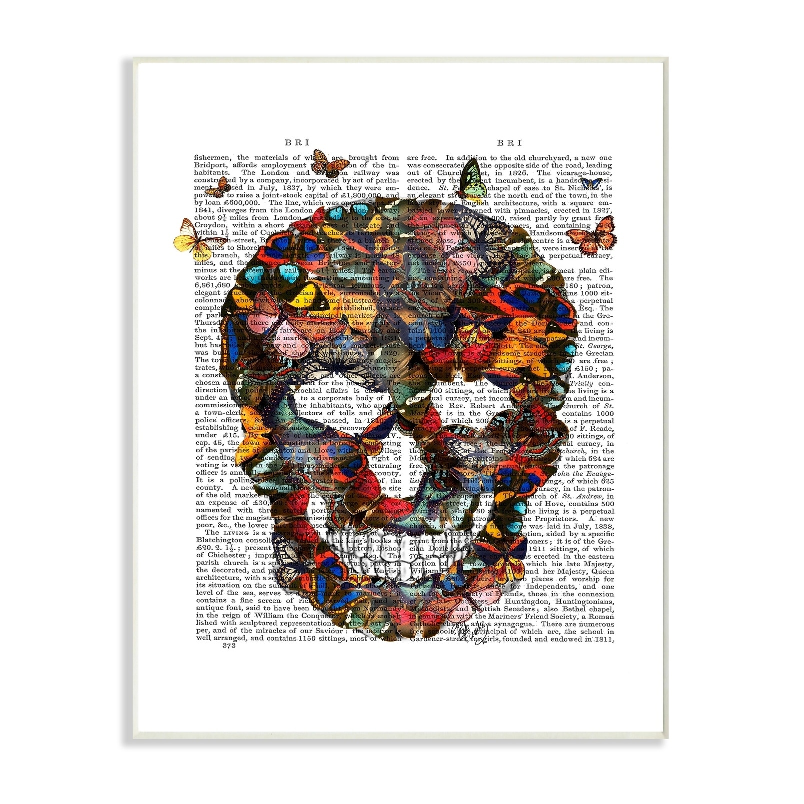 Stupell Dark Rainbow Skull of Butterflies on a Book Page Wall Plaque Art, Proudly A 12.5 x 18.5