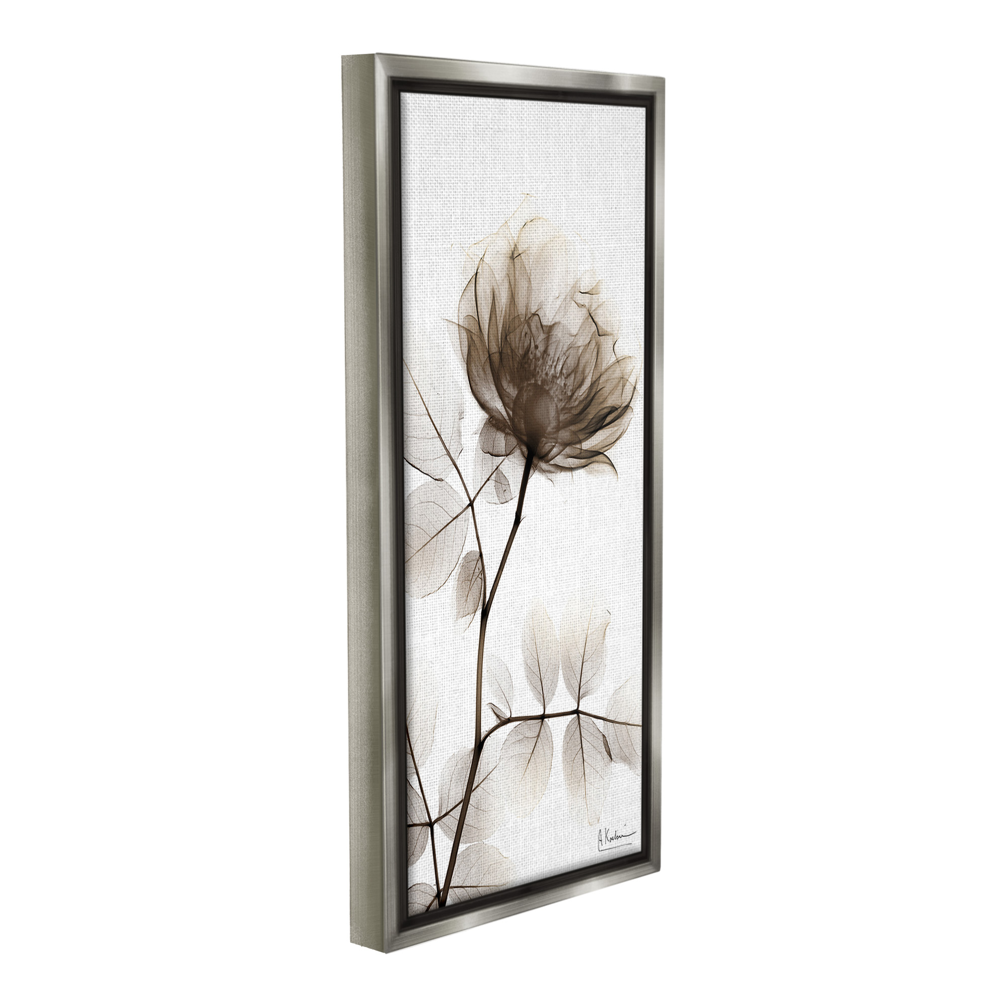 Stupell Industries Contemporary X-Ray Flower Botanical & Floral Photography Gray Floater Framed Canvas Art Print Wall Art, 14 x 31