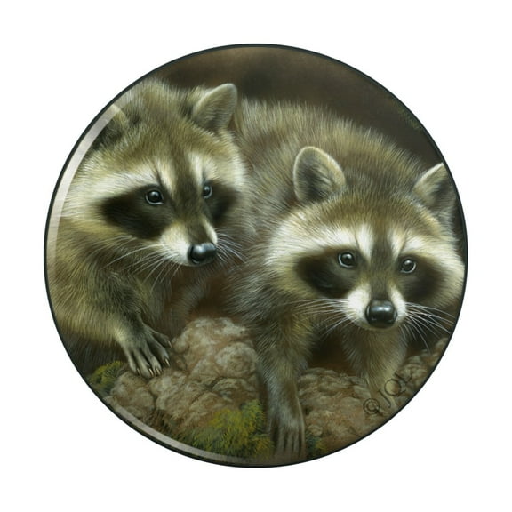 Cute Raccoons Curiosity Pinback Button Pin