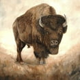 thumbnail image 2 of Winkler, Kathy 26x26 White Modern Wood Framed Museum Art Print Titled - Been There, Done That, 2 of 4