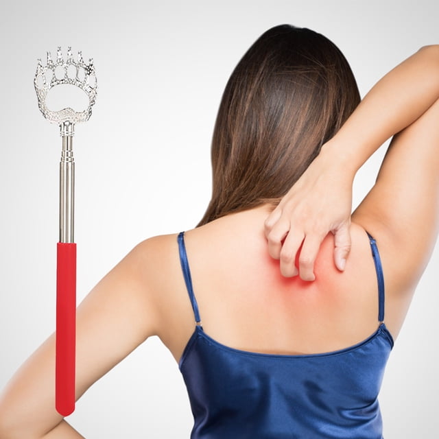 WIFKLSIIPG Stainless Steel Telescopic Rod Extendable Back Scratchers for Adults Bear /Rake Scratcher for Scratching Instant From