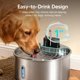 thumbnail image 1 of Fuente de Agua para Perros: Tazón de Fuente para Perros Inalámbrico de Acero Inoxidable de 1.8Gal/7L para Perros Pequeños A Grandes, Dispensador de Agua para Mascotas, 1 of 1