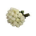 thumbnail image 3 of White Roses - Farm Direct Fresh Cut Flowers - 100 Stems - by Bloomingmore, 3 of 6