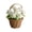 White-WH-home supplies, variant on LEFTHIGH Home Hand Woven Mini Flower Basket Artificial Flowers Valentine’s Day Romantic Multicolor Knit Gift Decor 5.5x3.5in 1pc Valentine Gifts