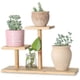 thumbnail image 1 of Soporte para plantas suculentas en miniatura de 3 niveles para interior y exterior, para escritorio y jardín, soporte para plantas de bambú de varios niveles, 1 of 5