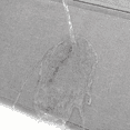 thumbnail image 5 of "Bolsa Acolchada Para Portátil De 15.6 Pulgadas Gris con negro ", 5 of 5