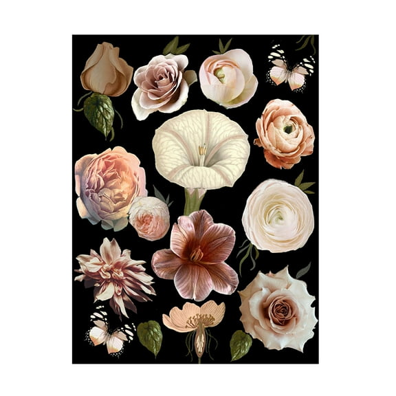 Trademark Fine Art giovanna nicolo  In the Night Canvas Wall Art