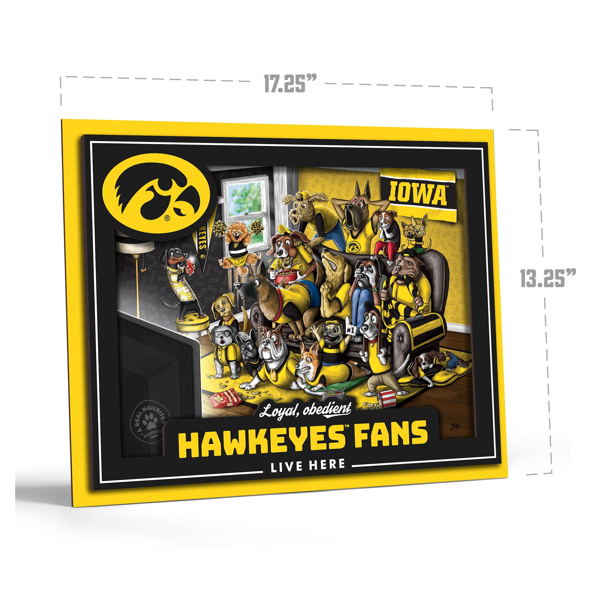 IDNA Iowa Hawkeyes 13.25" x 17.25" Purebred Fans Wall Art