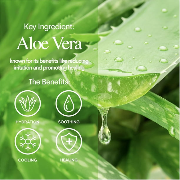 Luna Bunny 12PK Facial Sheet Mask, Korean Skincare Soothing Face Mask for  Self Care, Home Spa with Aloe Vera