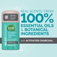 thumbnail image 4 of Seventh Generation Aluminum-free Deodorant Activated Charcoal 2.65 OZ, 4 of 11