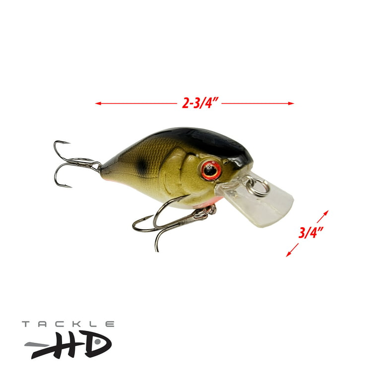 6 Hard Baits Fishing Lures in One Tackle Box Crankbait RealSkin Painting  For Bass Fishing HC15KB, Plugs -  Canada