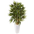 thumbnail image 1 of 4 ft. Bamboo Tree in White Tower Planter, 1 of 1