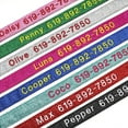 thumbnail image 3 of Personalized Embroidered Dog Collar Custom Nylon Pet Collar for Small Large Dogs, 3 of 8