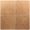 Cotto, variant on The Tile Life Camarada 8" x 8" Blanco Matte Porcelain Tile Sample, 1 Piece