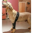 thumbnail image 2 of Pet Dog Knee Brace For Acl Knee Cap Dislocation Arthritis Keeps The Joint Warm Extra Support, 2 of 3