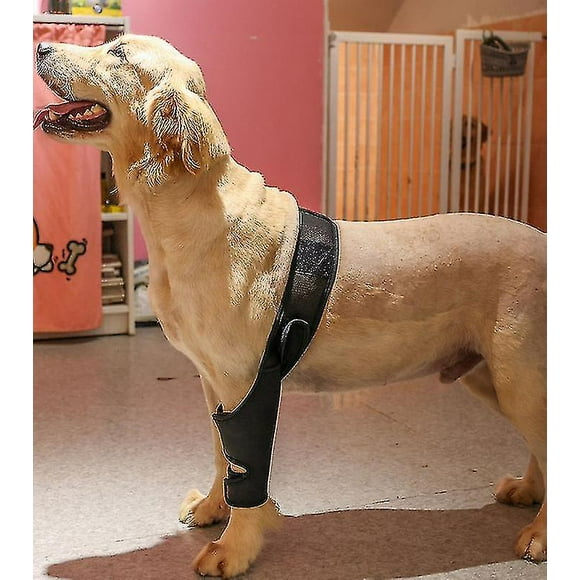 Pet Dog Knee Brace For Acl Knee Cap Dislocation Arthritis Keeps The Joint Warm Extra Support