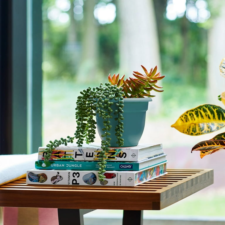 Bloem Ariana Self Watering Planter 16 Bloem Ariana Self Watering Planter 16