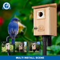 thumbnail image 2 of Pajarera de cedro Bird House Sisterbird con orificio de entrada de 3,8 cm, 2 of 9