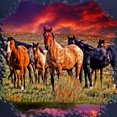 thumbnail image 3 of CafePress - Sunset Horses Long Sleeve Dark T Shirt - Long Sleeve Dark T-Shirt, 3 of 4