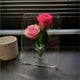 thumbnail image 3 of Vase Acrylic Photo Frame Vase Hydroponic Flower Planter Transparent Vase, 3 of 4
