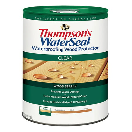 Thompson's Waterseal Wood Protector Clear 5 (Best Exterior Wood Stain Sealer)