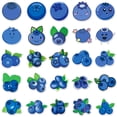 thumbnail image 3 of Paquete de pegatinas Blueberry Anime de vinilo impermeable, 50 unidades, 3 of 3