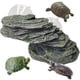thumbnail image 1 of Plataforma Ramp Kathson para tomar el sol con forma de tortuga pequeña, 15 x 7 x 7 cm, 1 of 7