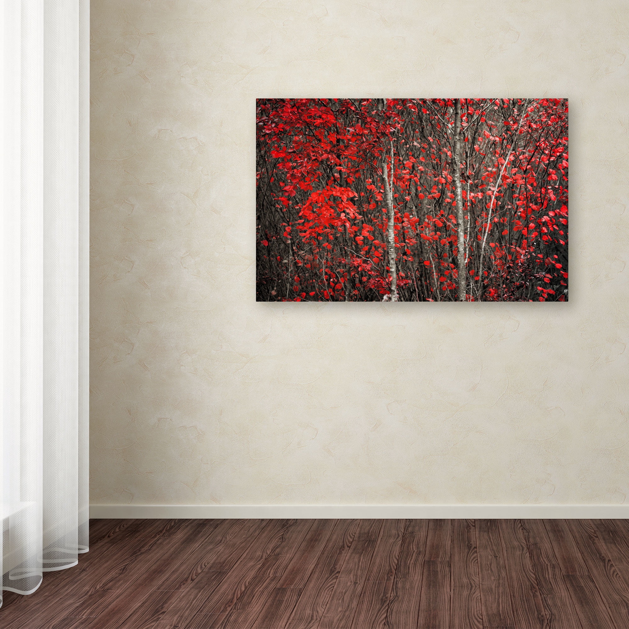Trademark Fine Art "The Hush Before Winter" Canvas Art by Philippe Sainte-Laudy