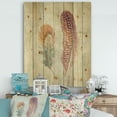 thumbnail image 2 of Designart 'Natural Feathers on Wood II' Farmhouse Print on Natural Pine Wood, 2 of 3